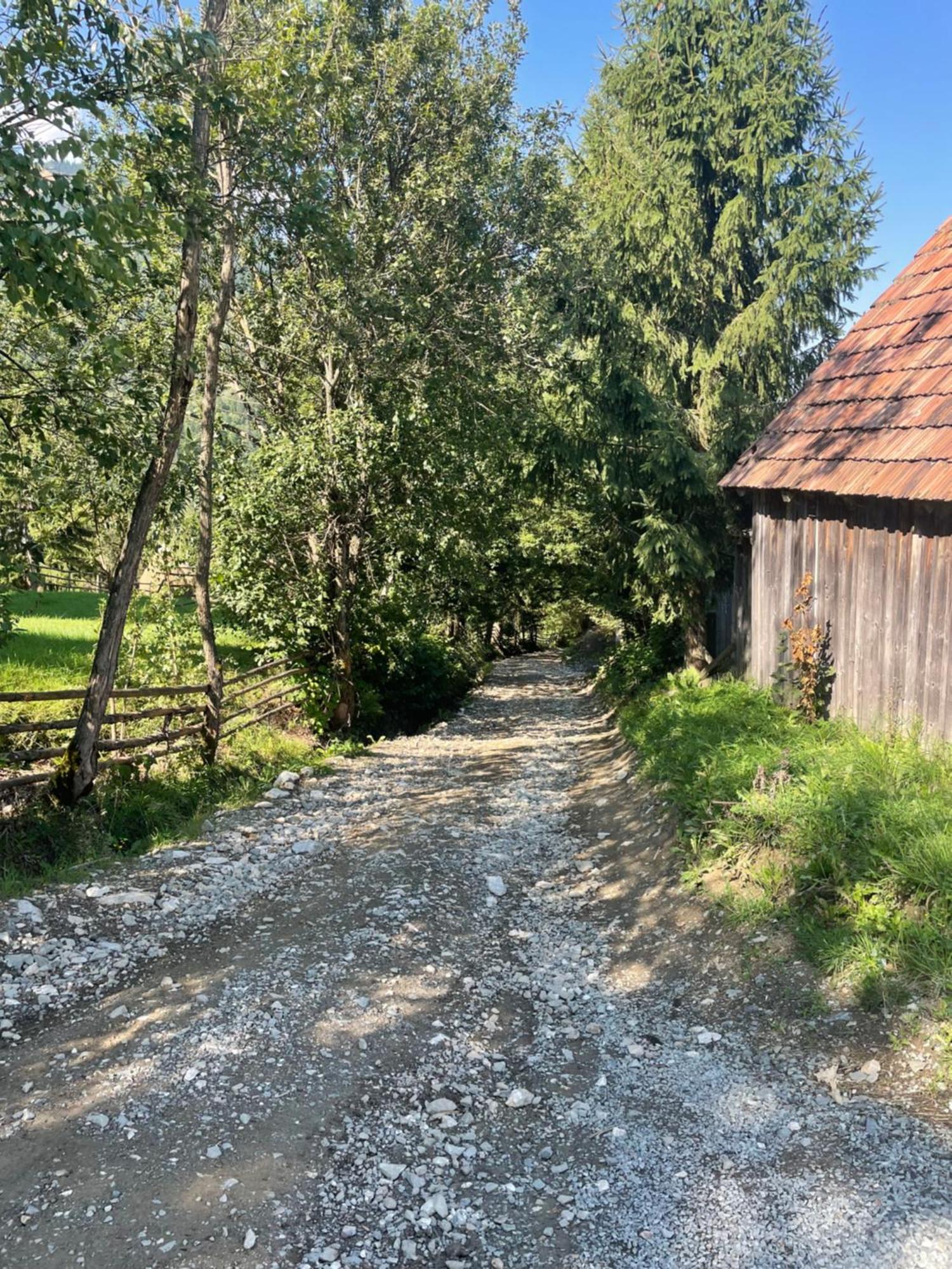 Casa Viorica Hotell Statiunea Exteriör bild